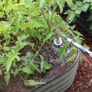 5 Watering Mistakes You're Probably Making